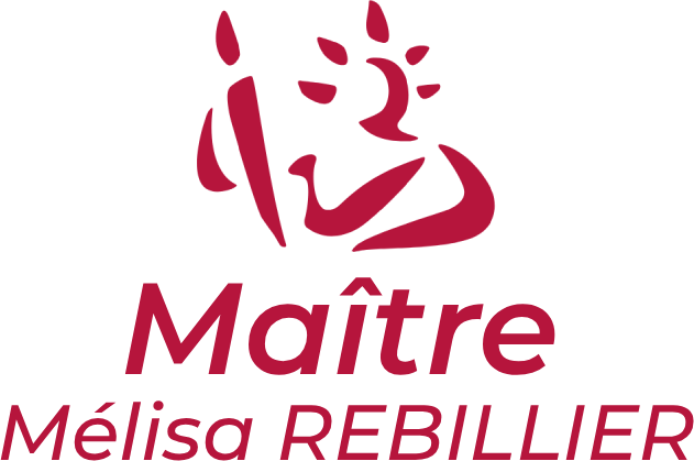 Maître Mélisa REBILLIER Maître Mélisa REBILLIER